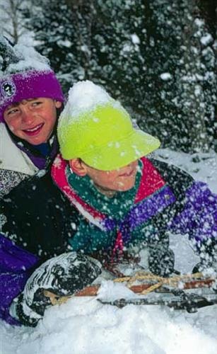 Helena National Forest: 