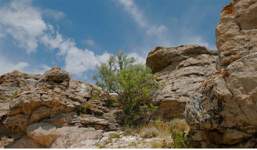 Clark's Lookout State Park: 