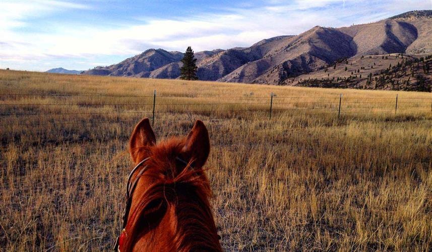 Crooked Antler Ranch: 