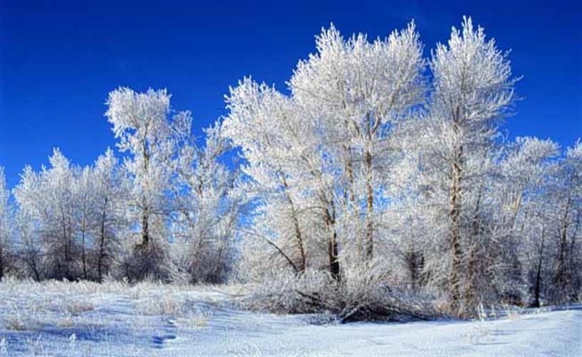 Butte Convention and Visitor Bureau: winter frost