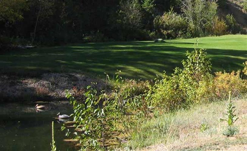 Sunshine Radon Health Mine: pond