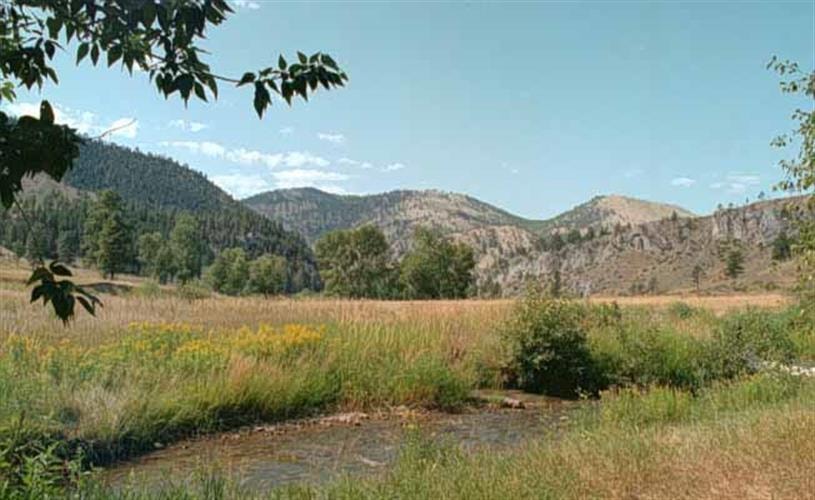 Big Log Gulch Trail: 