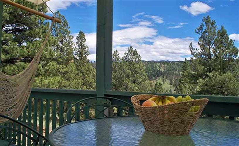 Elkhorn Mountain Home: view from deck