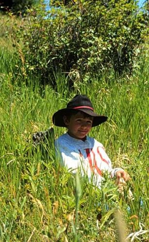 Mount Helena Ridge - National Recreation Trail: 