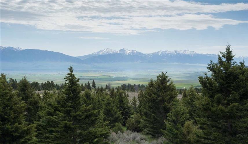 Madison Mountain Oasis: 