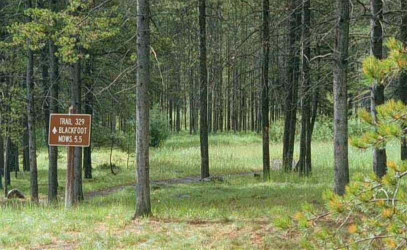 Blackfoot Meadows Trail: 