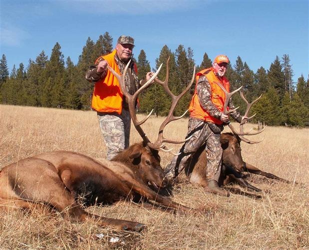 Royal Tine Outfitters: 