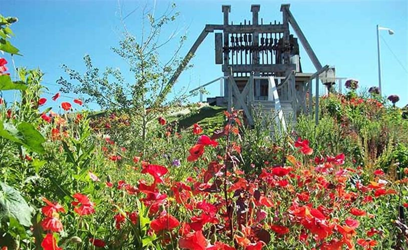 Old Lexington Stamp Mill and Gardens: red spinach and hollyhocks