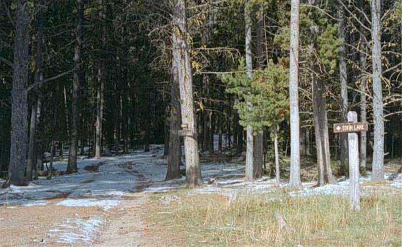 Edith Lake Trail: 