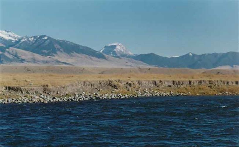 Randy Brown's Madison Flyfisher: Madison River