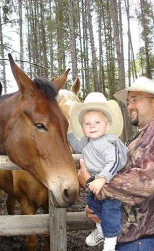 Royal Tine Outfitters: horse