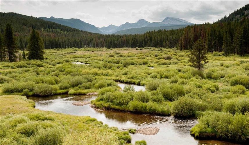 Pioneer Mountains Scenic Byway: Pioneer Scenic Byway