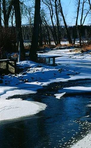 Helena National Forest: 