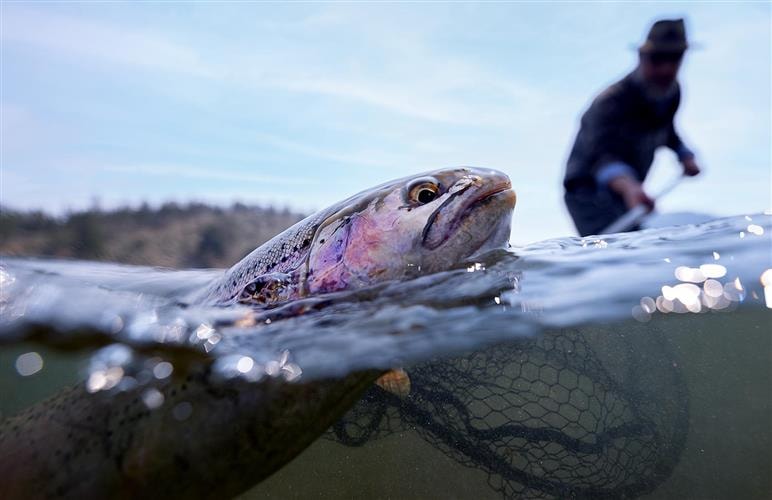 Living Water Guide Service and Outfitting: 