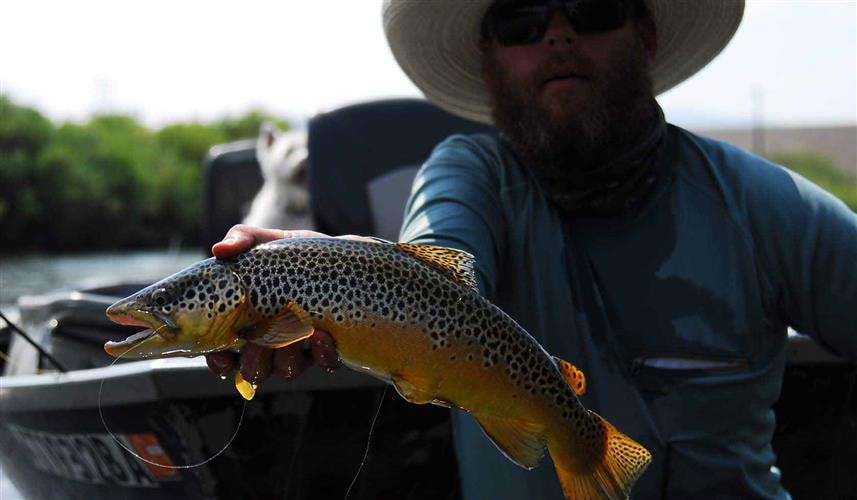 Complete Fly Fisher: 