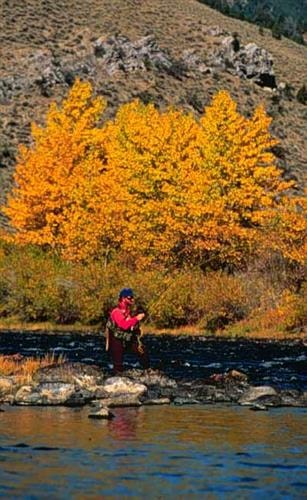 Upper Big Hole Special Management Area: 