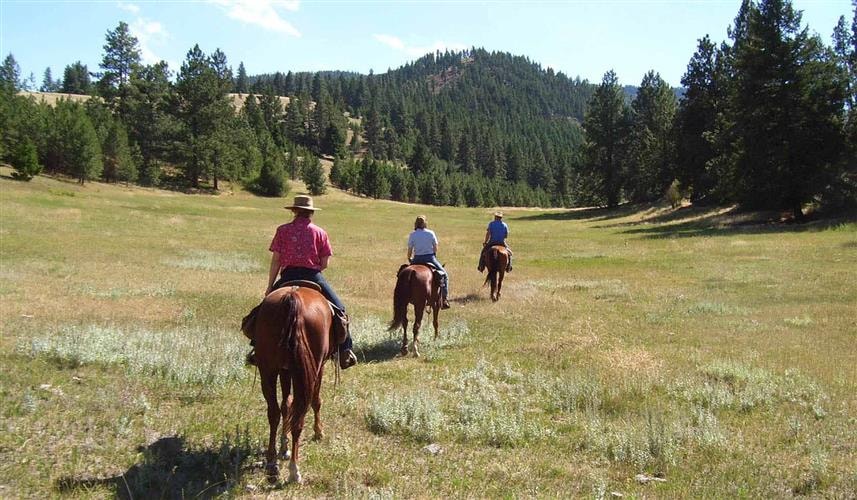 Crooked Antler Ranch: 