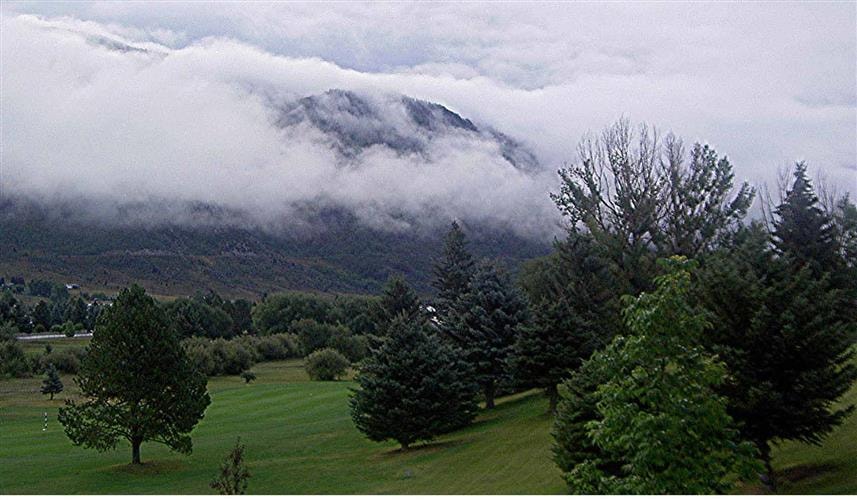 Toad Hall Manor B&B: 