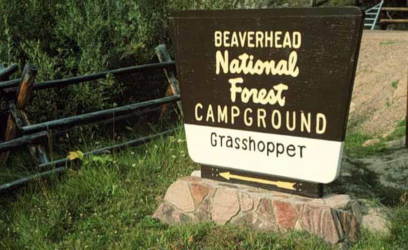 Grasshopper Campground: 