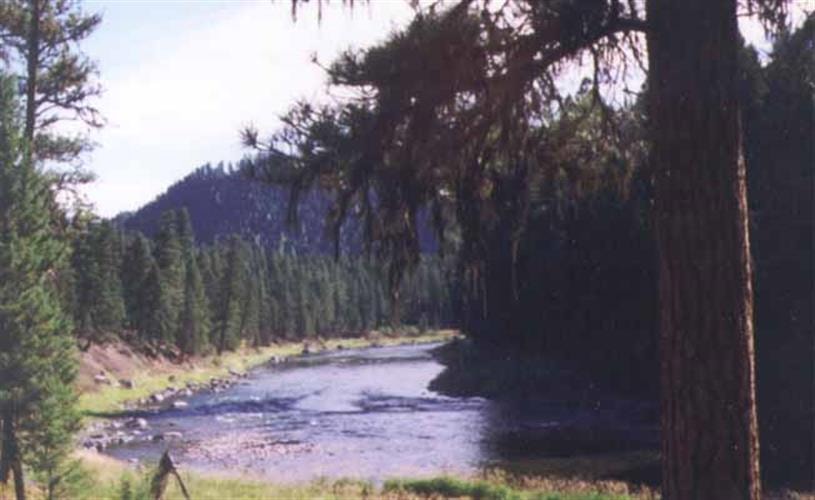 John Maki Outfitters: river scenery