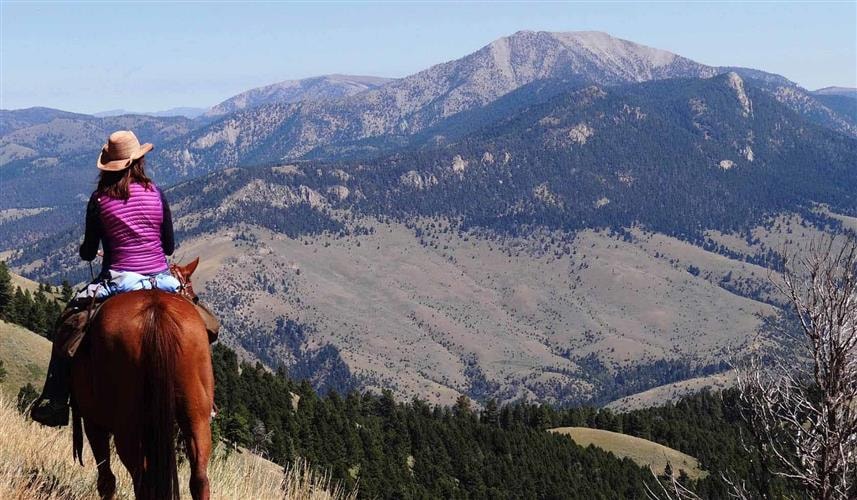 Upper Canyon Outfitters: 