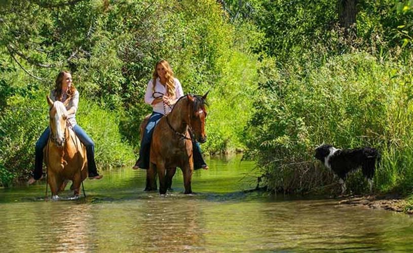 CB Cattle & Guest Ranch: horseback riding