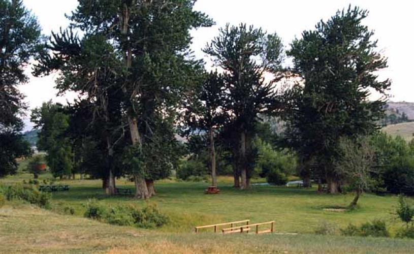 The Kleffner: creek location