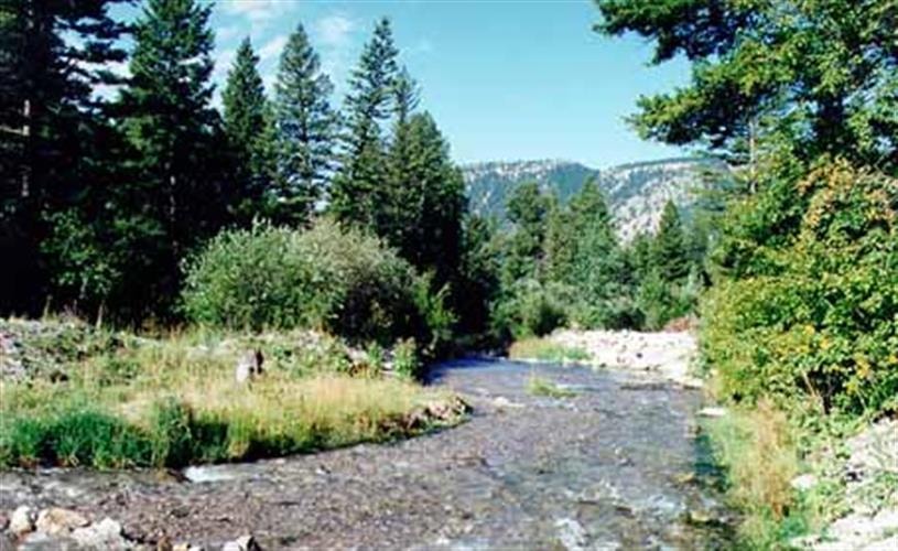 Thompson Hellgate Trail: 