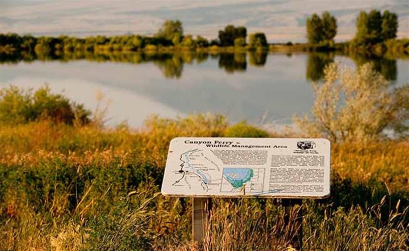 Canyon Ferry Reservoir: Wildlife Management Area