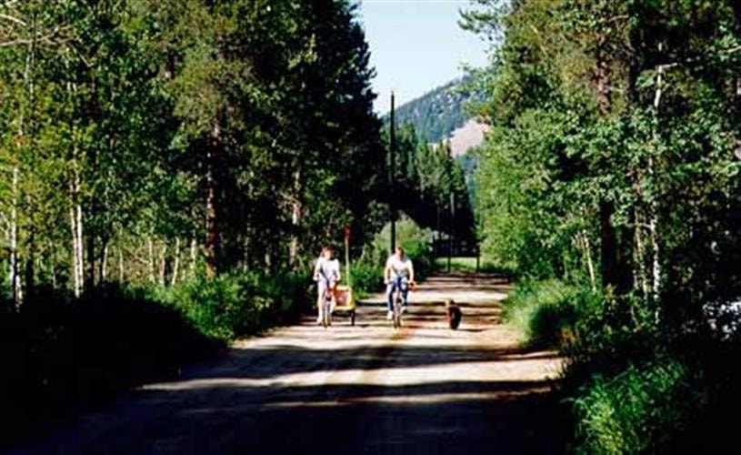 Moose Creek Campground: campground