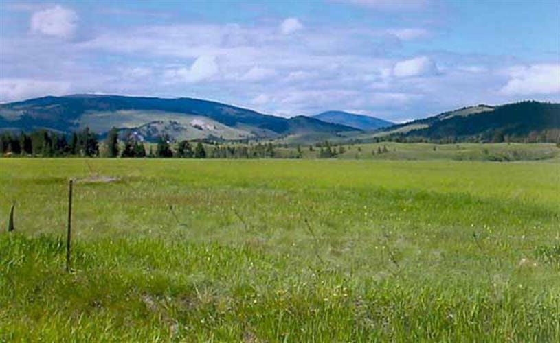 Flume Creek Lodge: scenery