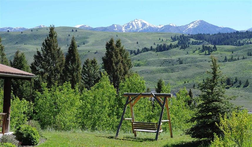 Towering Pines on the Madison: 
