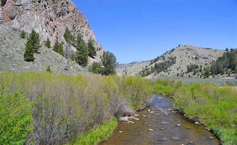 Big Sheep Creek Backcountry Byway: Big Sheep Creek