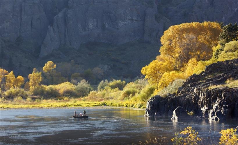 The Trout Shop Lodge: 