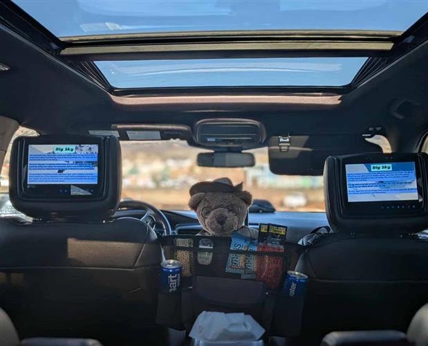 Old Faithful and Friends: 