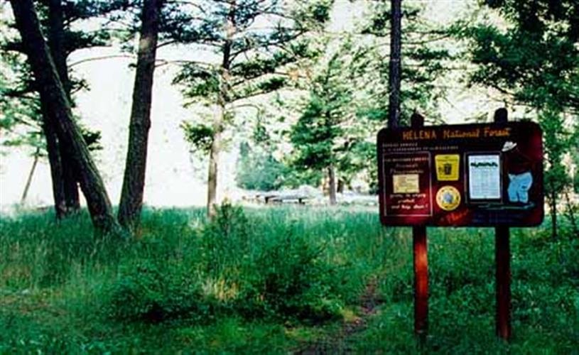 Vigilante Campground: campground