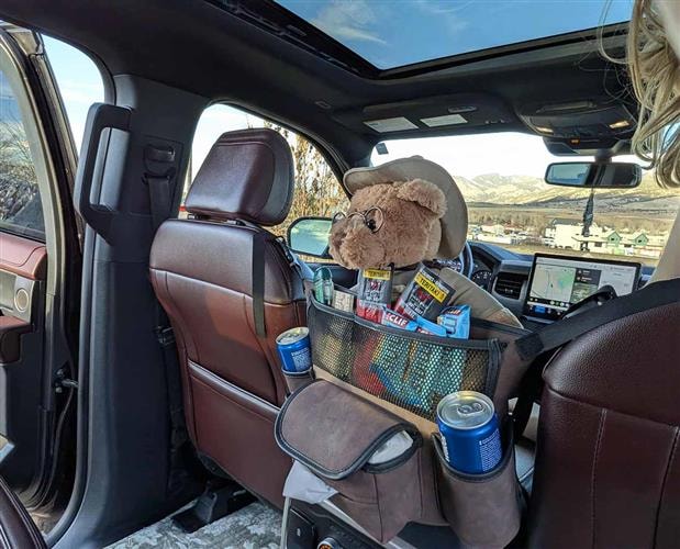 Old Faithful and Friends: 