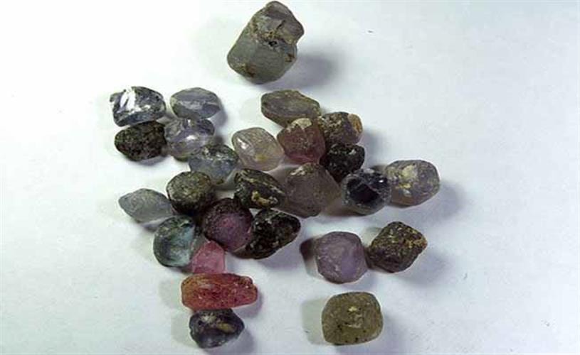 Spokane Bar Sapphire Mine and Gold Fever Rock Shop: Rocks