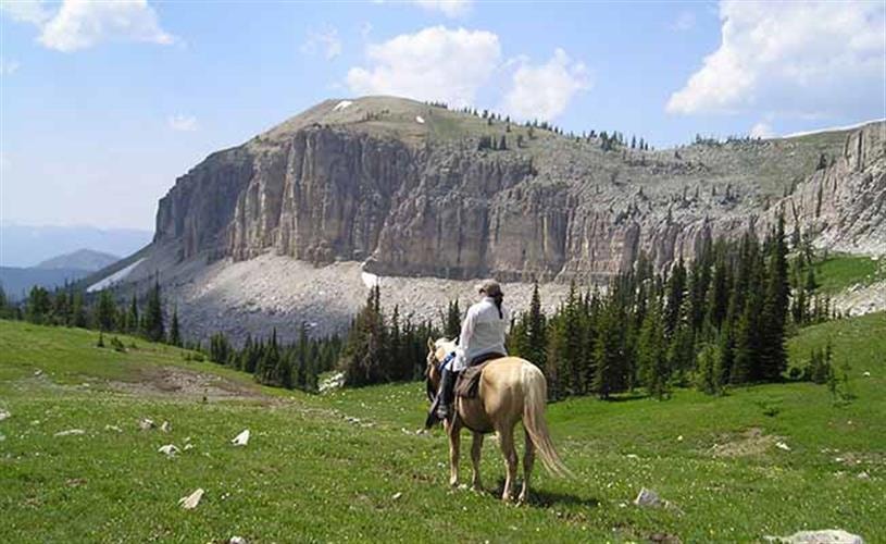 Mills Wilderness Adventures of Montana: mountain trail