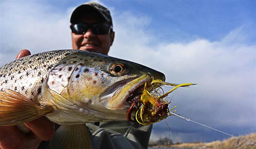 Ruby Valley Chamber of Commerce: 