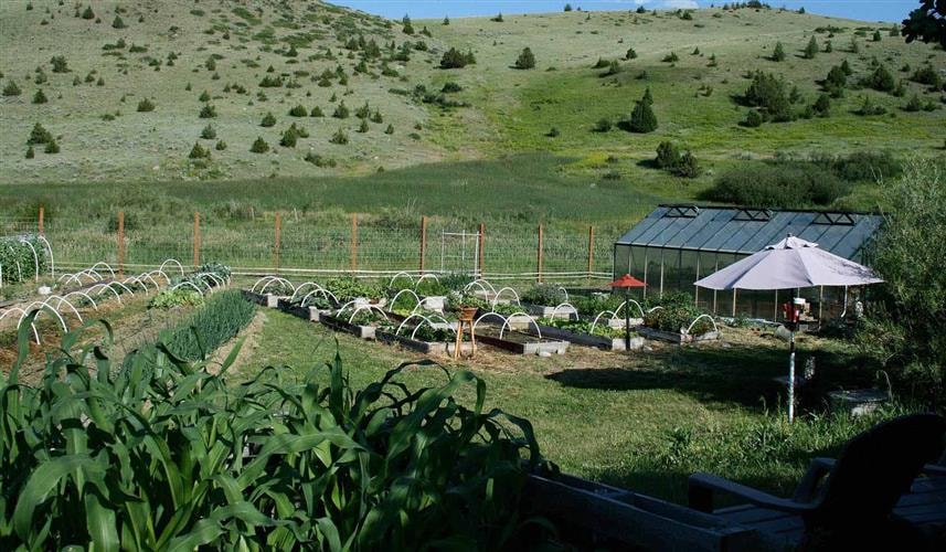 Norris Hot Springs 50 Mile Grill & No Loose Dogs Saloon: 