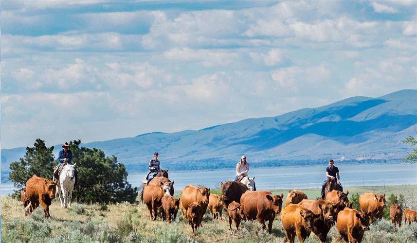 Hidden Hollow Hideaway Cattle & Guest Ranch: 