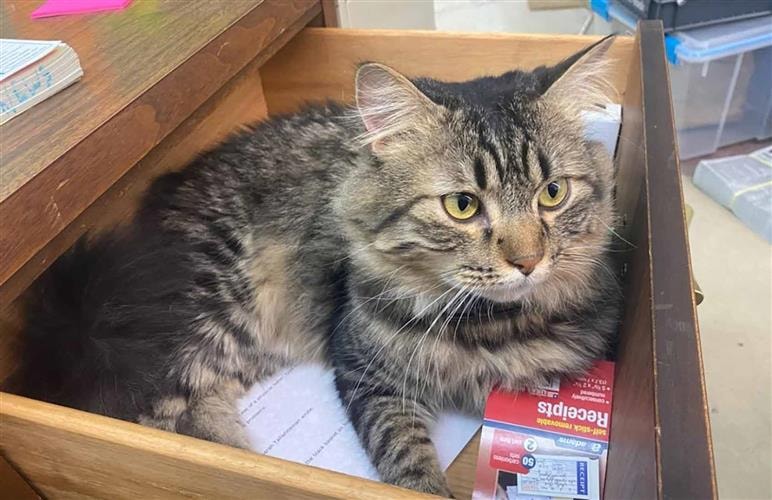 Reading Leaves Books: 