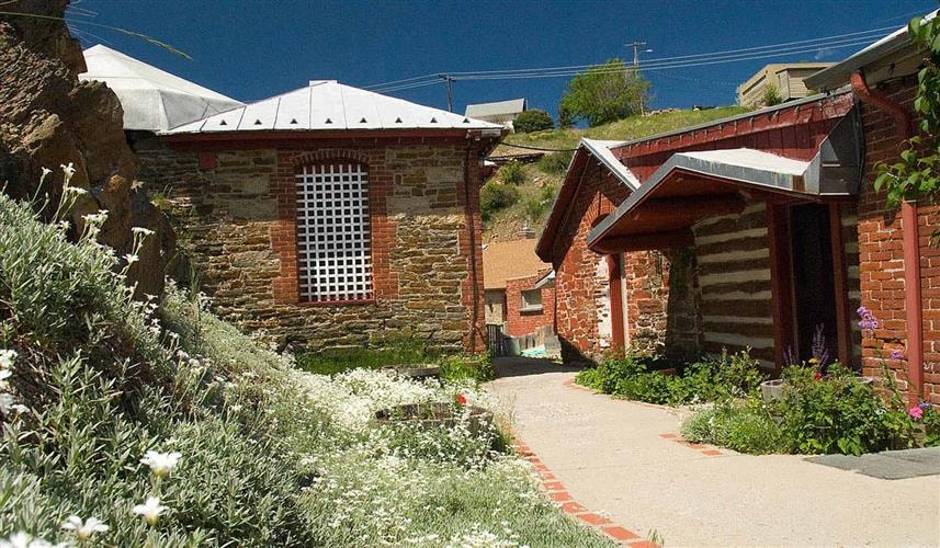 Reeder's Alley: flowers along Reeders Alley