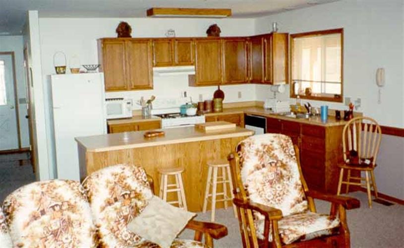 Moose Springs Ranch: other kitchen