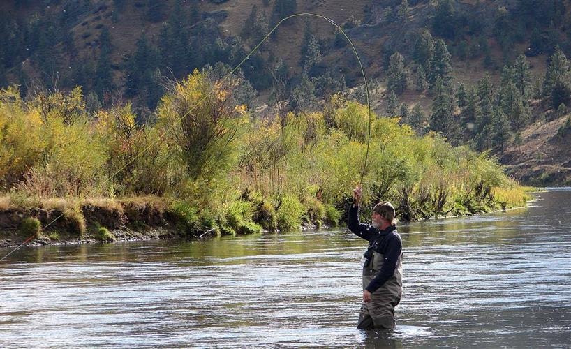 The Trout Shop Lodge: 