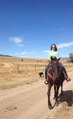 Mountain Elk Hunting Retreat: horseback riding