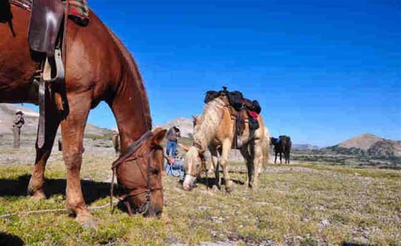 Montana Mountain View Ranch: 