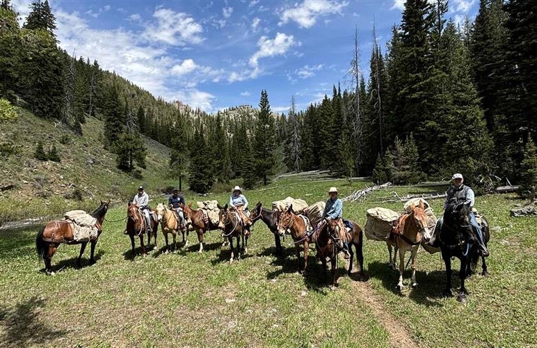 Centennial Outfitters: 
