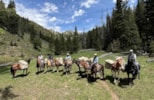 Centennial Outfitters